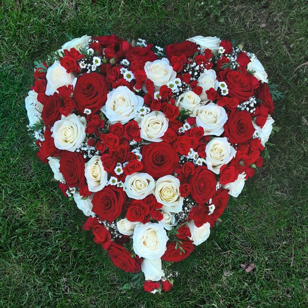 Herz mit roten und weißen Rosen Bild 1